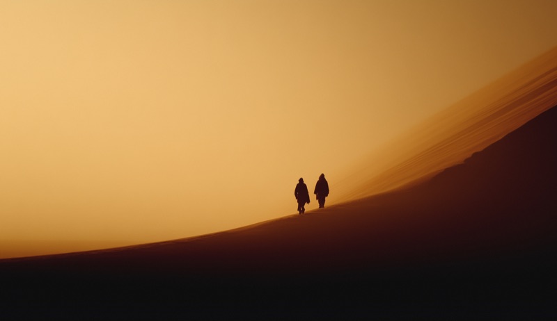 Dune Studies · by Bernardo Lickfold · desert silhouettes, gold light, sand dunes