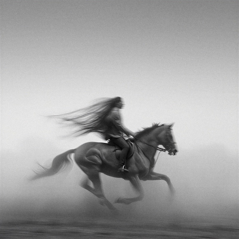 Motion Studies · by Bernardo Lickfold · horse motion, black-and-white blur, rider silhouette