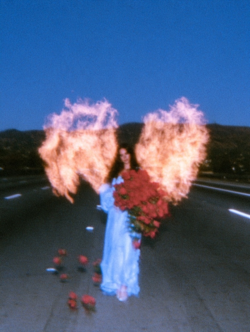 Lanita · by Ege · fire wings, red roses, blue dress