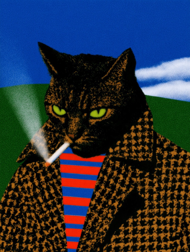 Smoking Cat · by Hewar · smoking cat, leopard coat, striped shirt