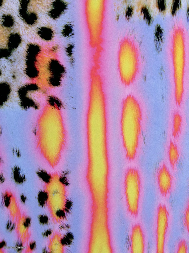 Animal Print · by Jamey Gannon · animal print, textile, psychedelic