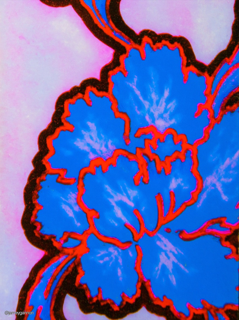 Print Studies · by Jamey Gannon · botanical print, textile, fairycore