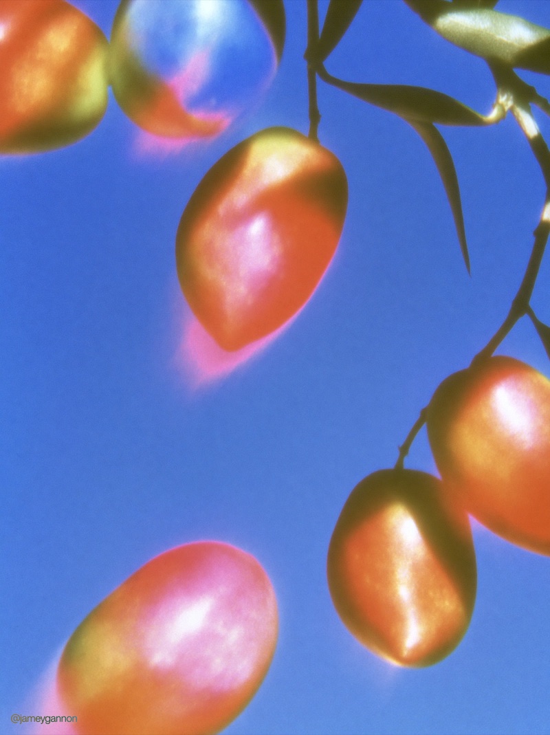 Solarized Fruit · by Jamey Gannon · solarized fruit, blue sky, still life
