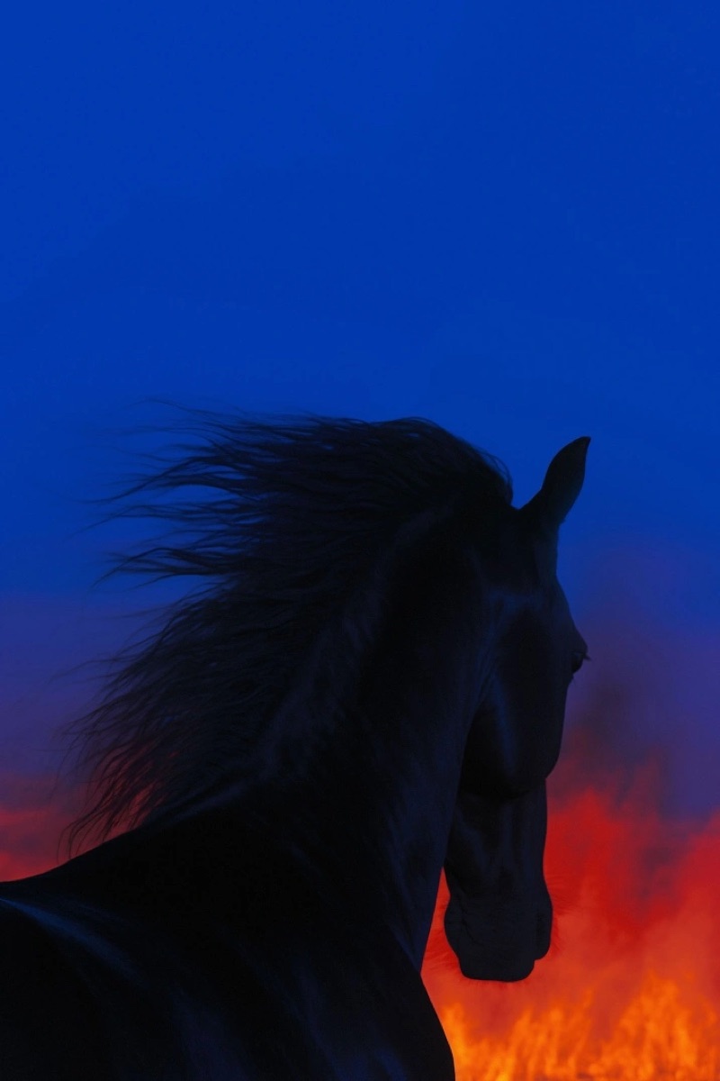 Blue Horse · by Felipe Rocha · blue horse, volcanic glow, blue red palette