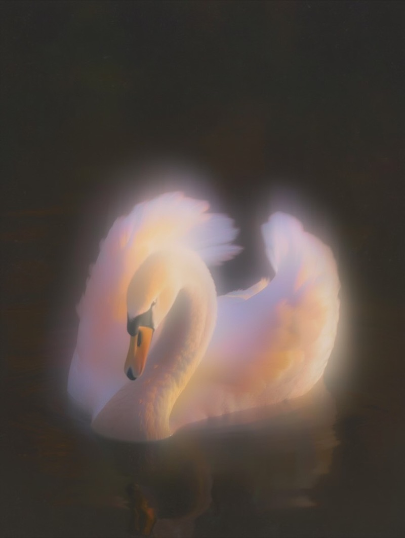 Study in Opalescence · by Reve · opalescent surface, swan form, shell texture